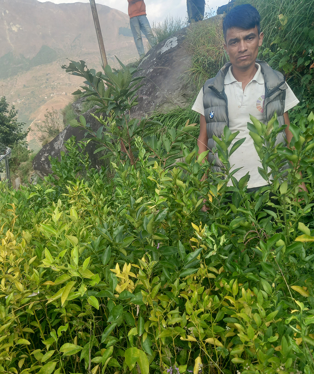 Orange,-Lime-Keshab-Bohora.jpg